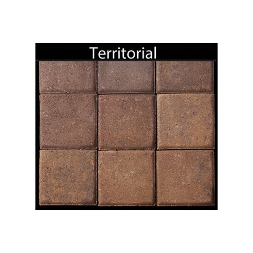 Phoenix Paver Standard Territorial Blend 6 in. x 9 in. 60 mm (100